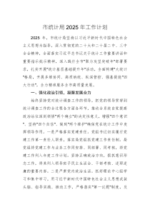 統(tǒng)計(jì)機(jī)關(guān)2025年工作計(jì)劃范文