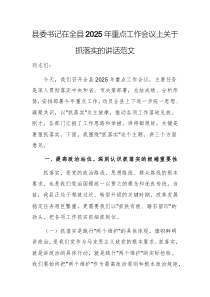 縣委書記在全縣2025年重點(diǎn)工作會議上關(guān)于抓落實(shí)的講話范文