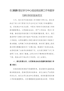 在2025理論學(xué)習(xí)中心組巡視巡察工作專題學(xué)習(xí)研討時(shí)的發(fā)言范文