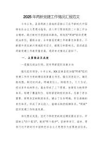 2025年兩新黨建工作情況匯報范文