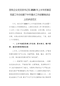 國有企業(yè)黨支部書記在2025年上半年抓基層黨建工作總結暨下半年重點工作部署推進會上的講話范文