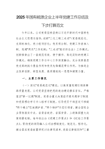 2025年國有能源企業(yè)上半年黨建工作總結及下步打算范文