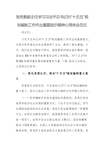 發(fā)改委副主任學習習近平總書記對“十五五”規(guī)劃編制工作作出重要指示精神心得體會范文