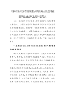 領(lǐng)導干部在涉農(nóng)民生重點項目突出問題排查整改推進會議上的講話范文