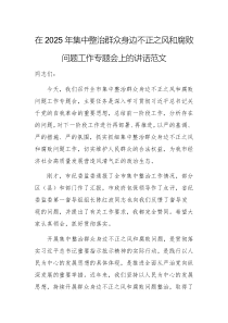 在2025年集中整治群眾身邊不正之風(fēng)和腐敗問(wèn)題工作專題會(huì)上的講話范文