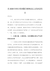 在2025年審計(jì)系統(tǒng)警示教育會(huì)議上的講話范文