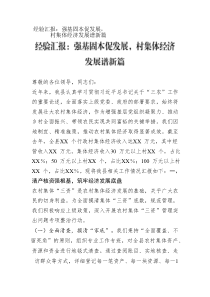 經(jīng)驗(yàn)匯報(bào)：強(qiáng)基固本促發(fā)展，村集體經(jīng)濟(jì)發(fā)展譜新篇