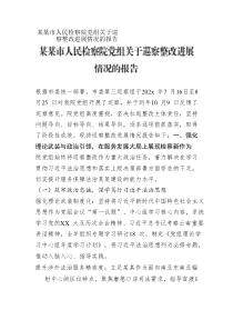 某某市人民檢察院黨組關(guān)于巡察整改進(jìn)展情況的報(bào)告