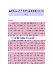 縣委書記在新興領(lǐng)域黨建工作座談會上的講話