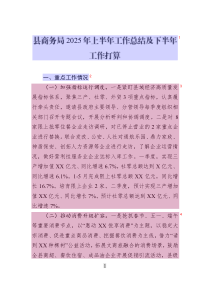 縣商務(wù)局2025年上半年工作總結(jié)及下半年工作打算